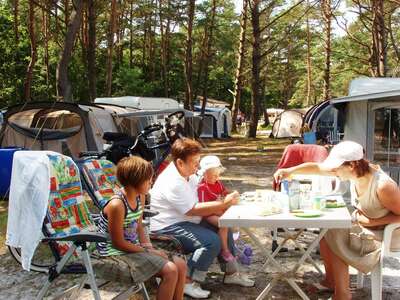 Die Campingplätze auf der Ostsee Insel Usedom  direkt hinter den Dünen sind bei Campern sehr begehrt.