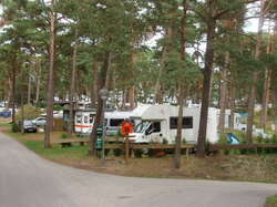 Stellplätze auf dem Campingplatz in Trassenheide